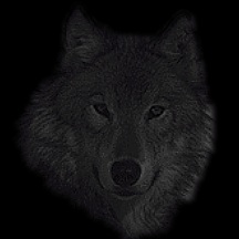 Wolfie0ne's Avatar